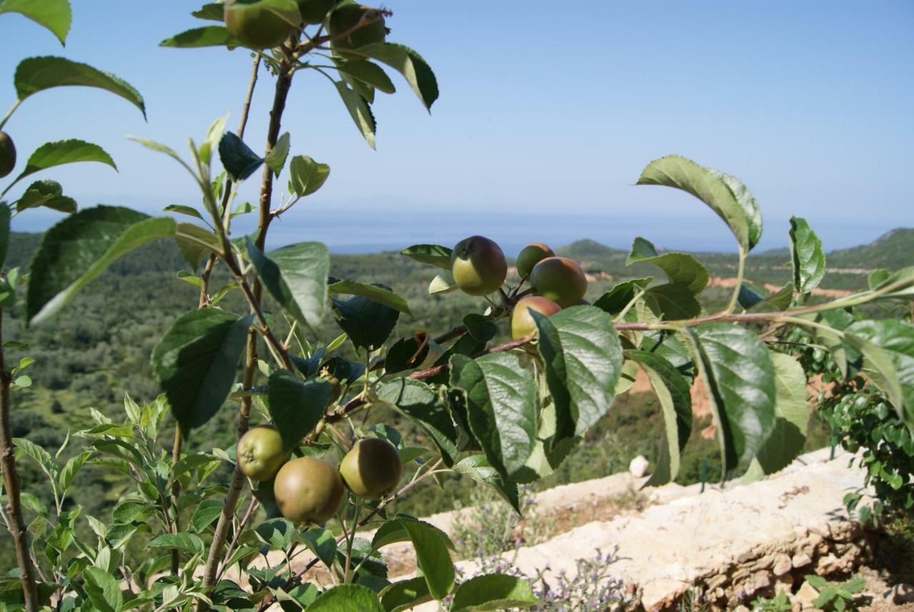Vila Milo Διαμέρισμα Vuno Εξωτερικό φωτογραφία
