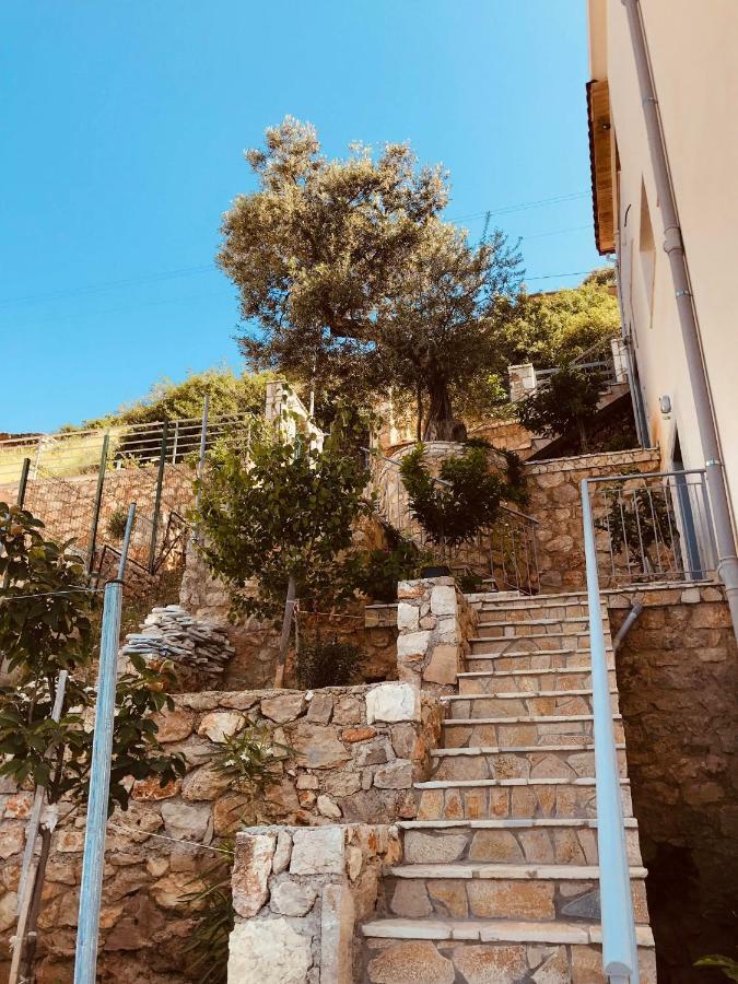 Vila Milo Διαμέρισμα Vuno Εξωτερικό φωτογραφία