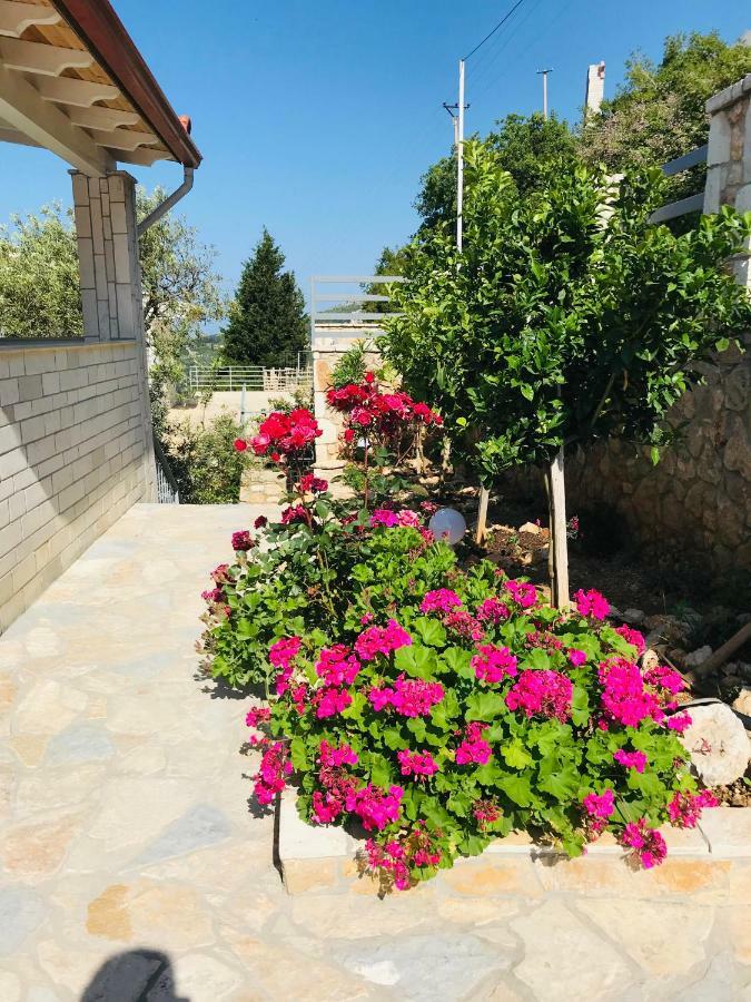 Vila Milo Διαμέρισμα Vuno Εξωτερικό φωτογραφία