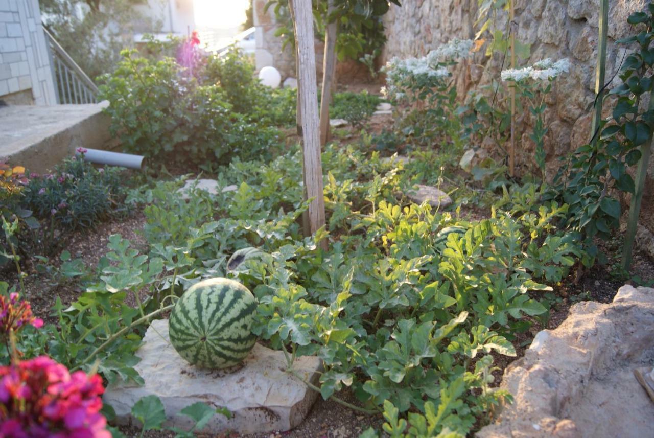 Vila Milo Διαμέρισμα Vuno Εξωτερικό φωτογραφία