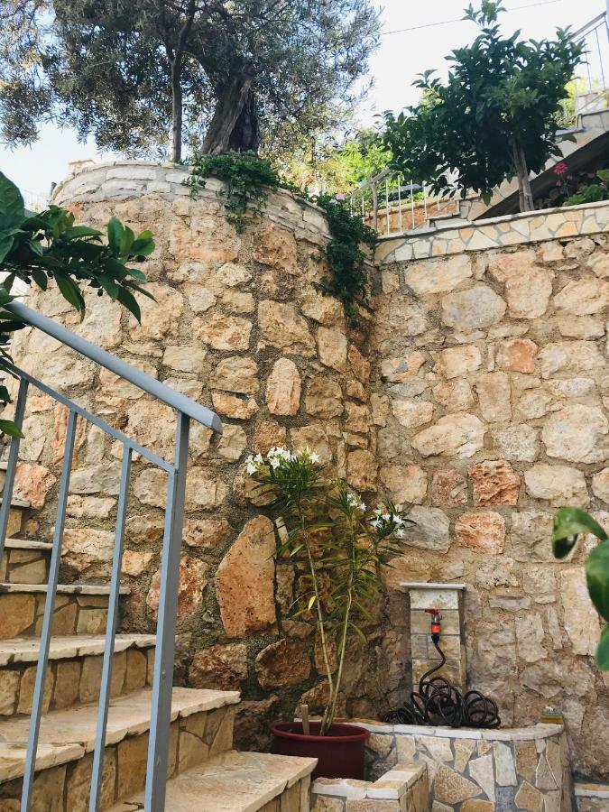Vila Milo Διαμέρισμα Vuno Εξωτερικό φωτογραφία